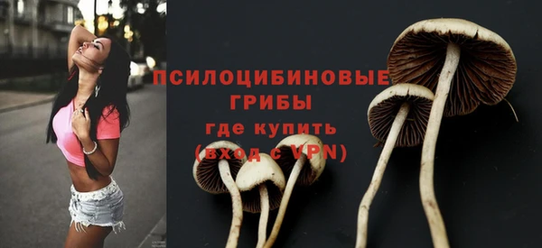 гидра Ладушкин