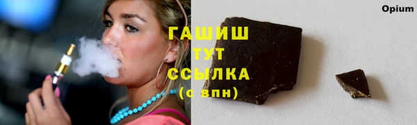 гидра Ладушкин