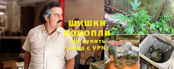 гидра Ладушкин