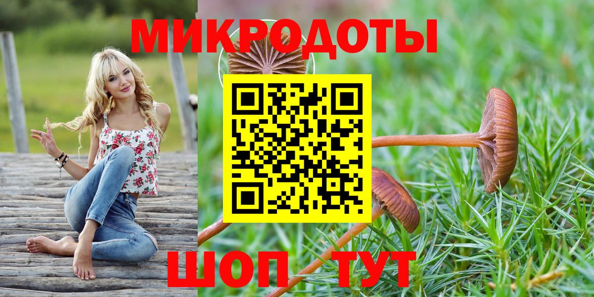 Псилоцибиновые грибы мухоморы Владивосток